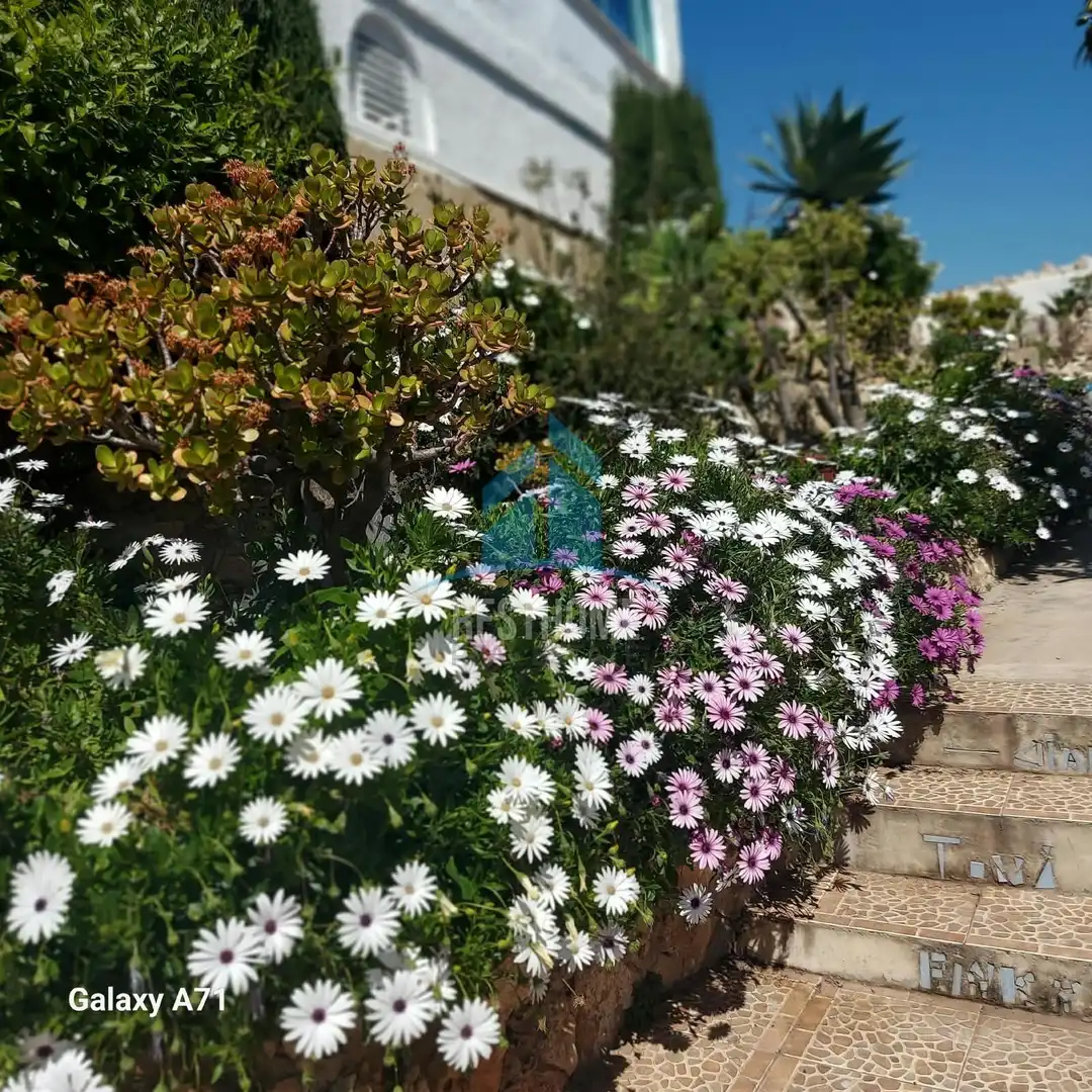 Villa avec jardin à vendre à Sant Antoni, imagen 23