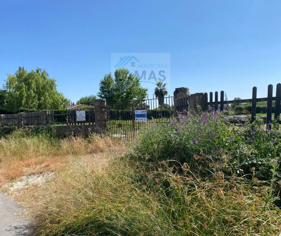 Terrains et parcelles à vendre à Diseminado Dehesa los Pinos, imagen 2