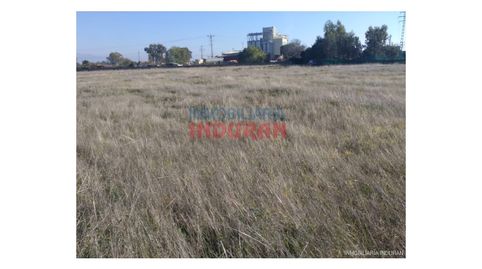 Foto 2 von Country house zum Verkauf in Navalmoral de la Mata, Cáceres