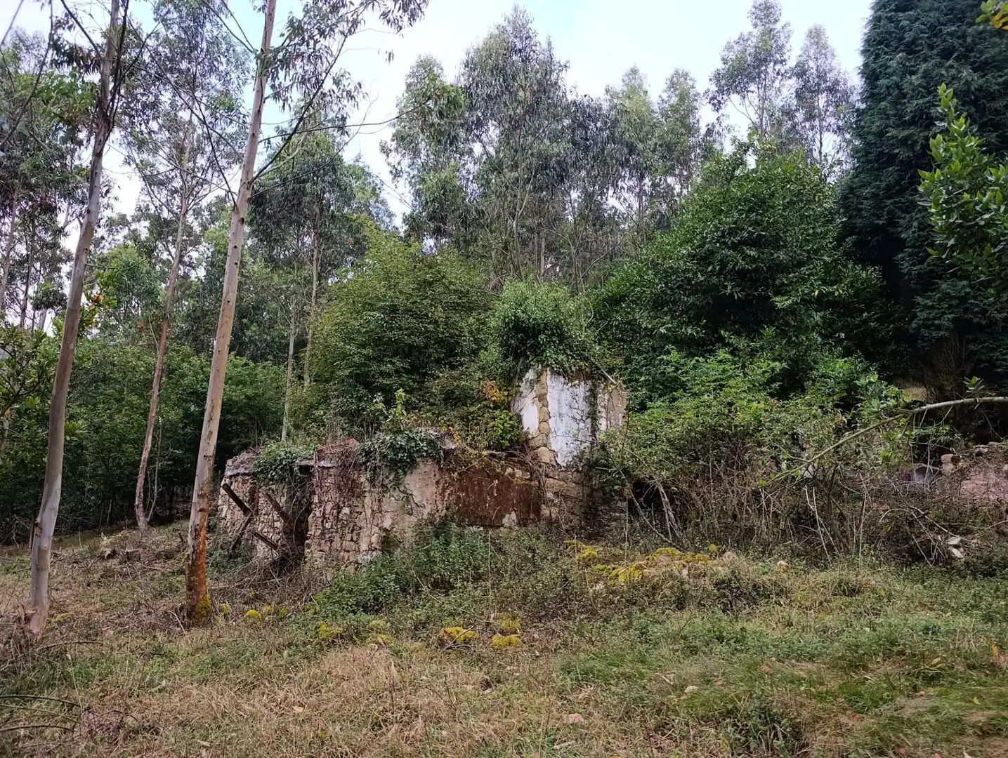 Country homes for sale in Pravia