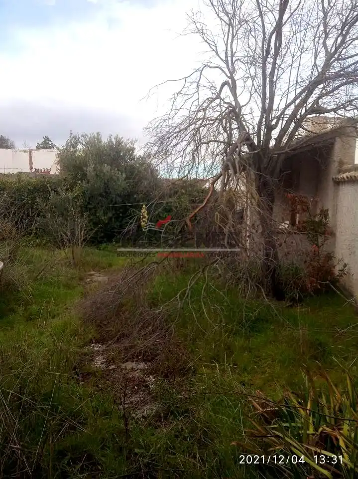 Casa amb terrassa en venda a Calle Veronica, imagen 25