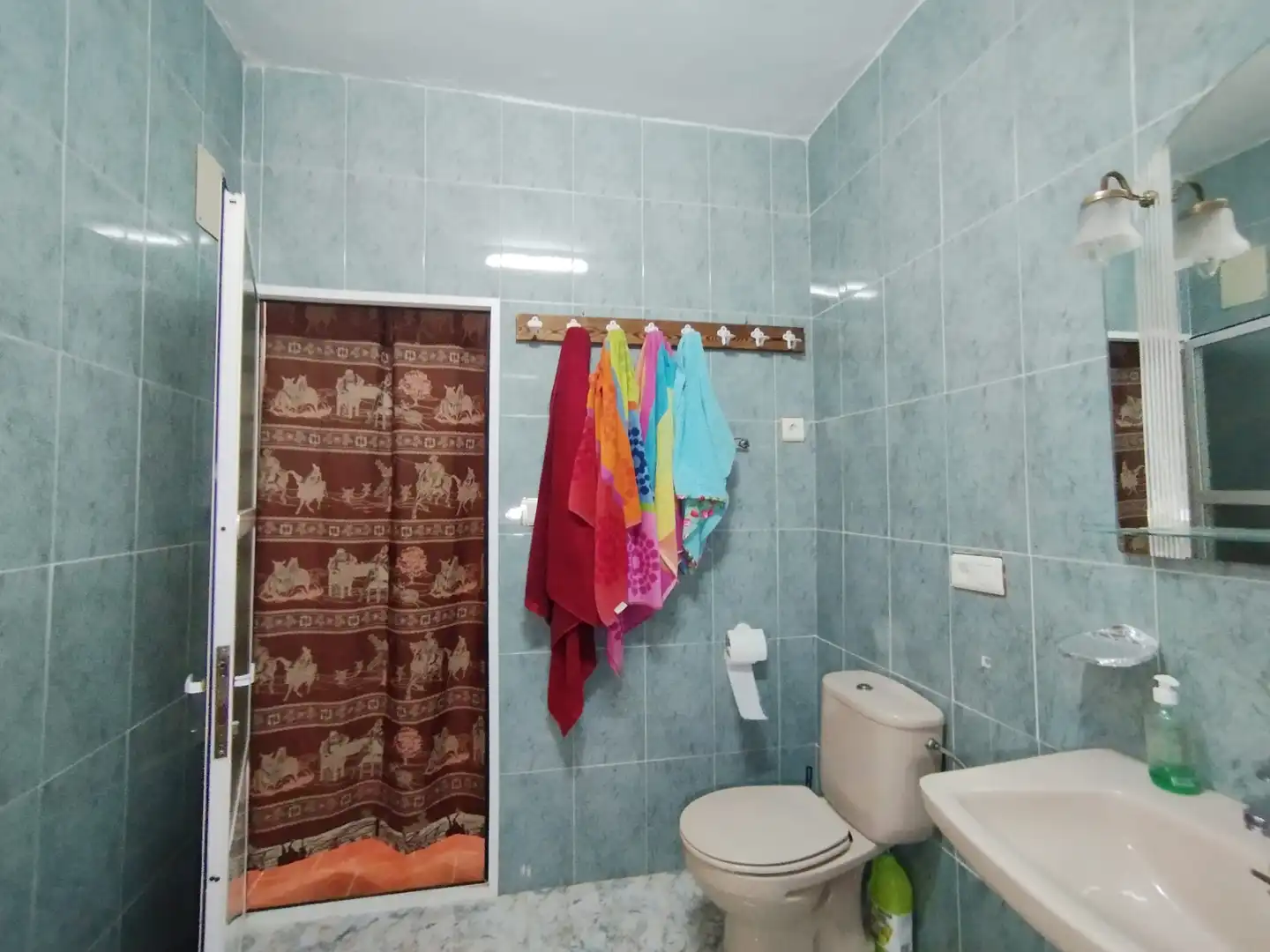 Bany de Finca rústica en venda en Argamasilla de Alba amb Jardí privat, Piscina i Moblat