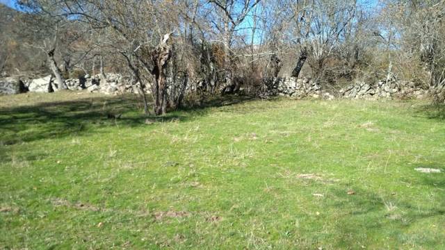 Terreno en Venta en Centro - Manguilla