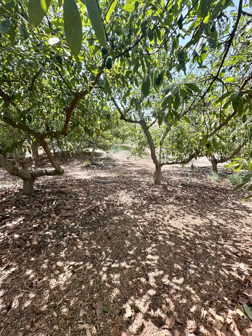 Country homes for sale in Benamocarra  with Private garden, Storage room and Swimming Pool