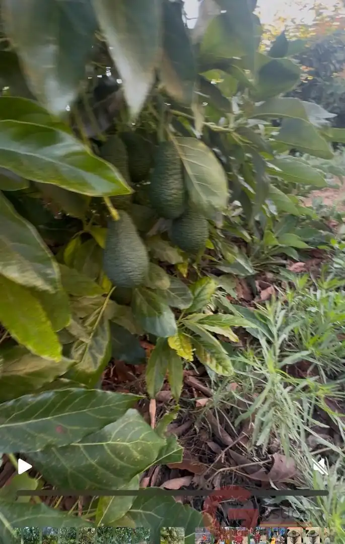 Terreni e lotti in vendita a Monte los Almendros - El Pargo - Costa Aguilera, imagen 10