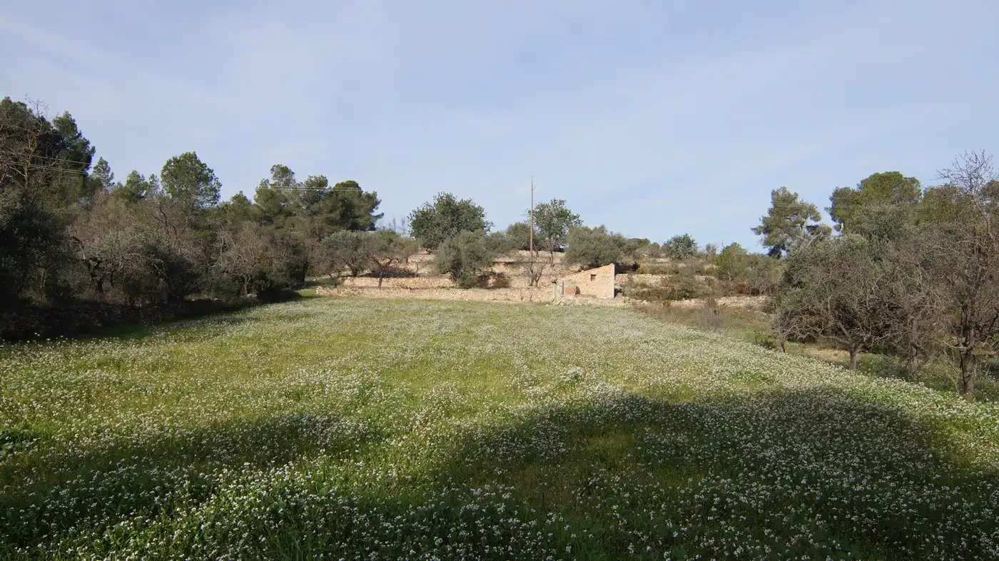 Terrain rustique à vendre à Rasquera, imagen 25