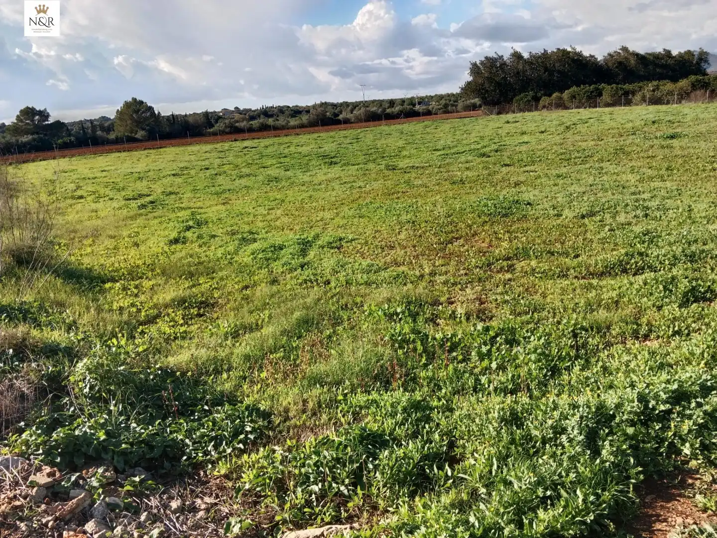 Rustikales Grundstück zum Verkauf in Llubí, imagen 4