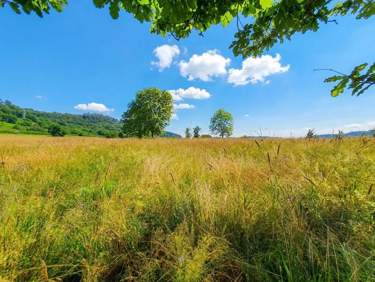 Residential land for sale in Grado, imagen 4