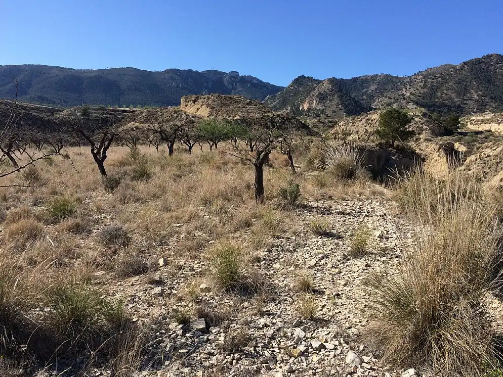 Grundstücke und Bauplätze zum Verkauf in Paraje la Cuesta Alta, imagen 6