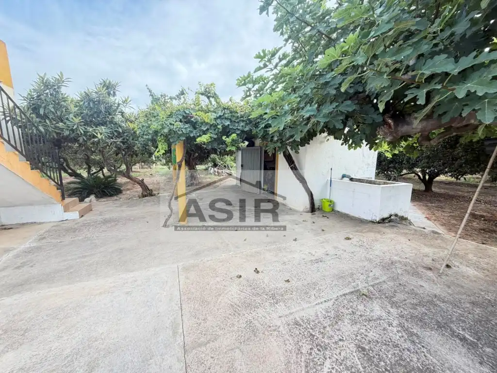 Houses for sale in Benicull de Xúquer