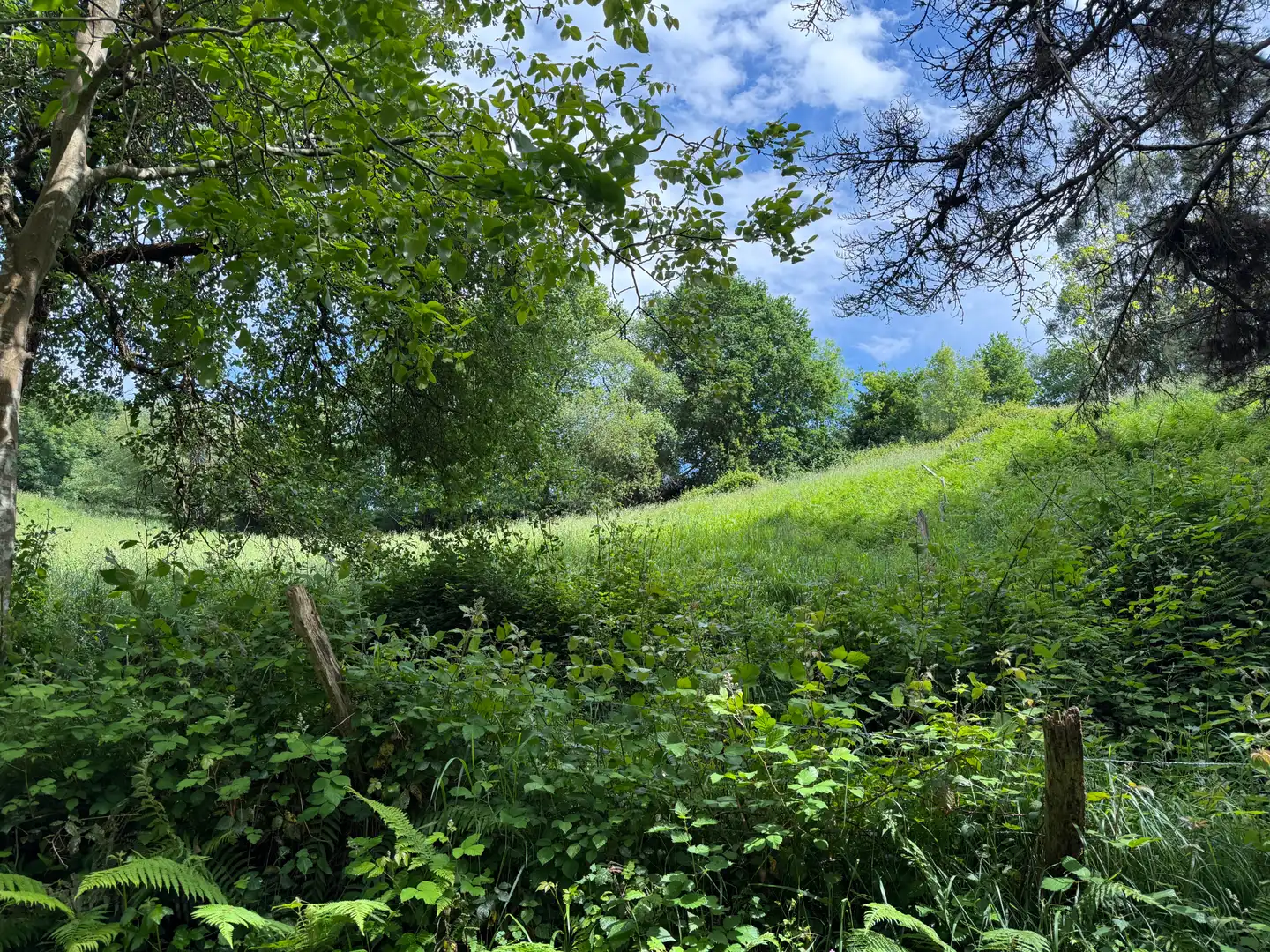 Terreno en venta en Barrio Jainko, Arrieta