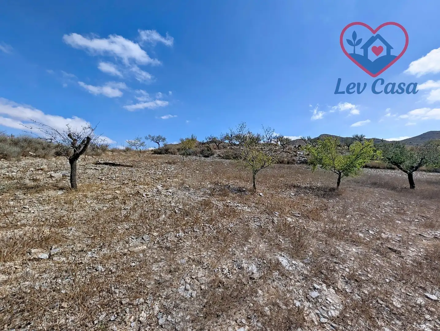 Terreno rustico in vendita a Playa del Galán, imagen 28