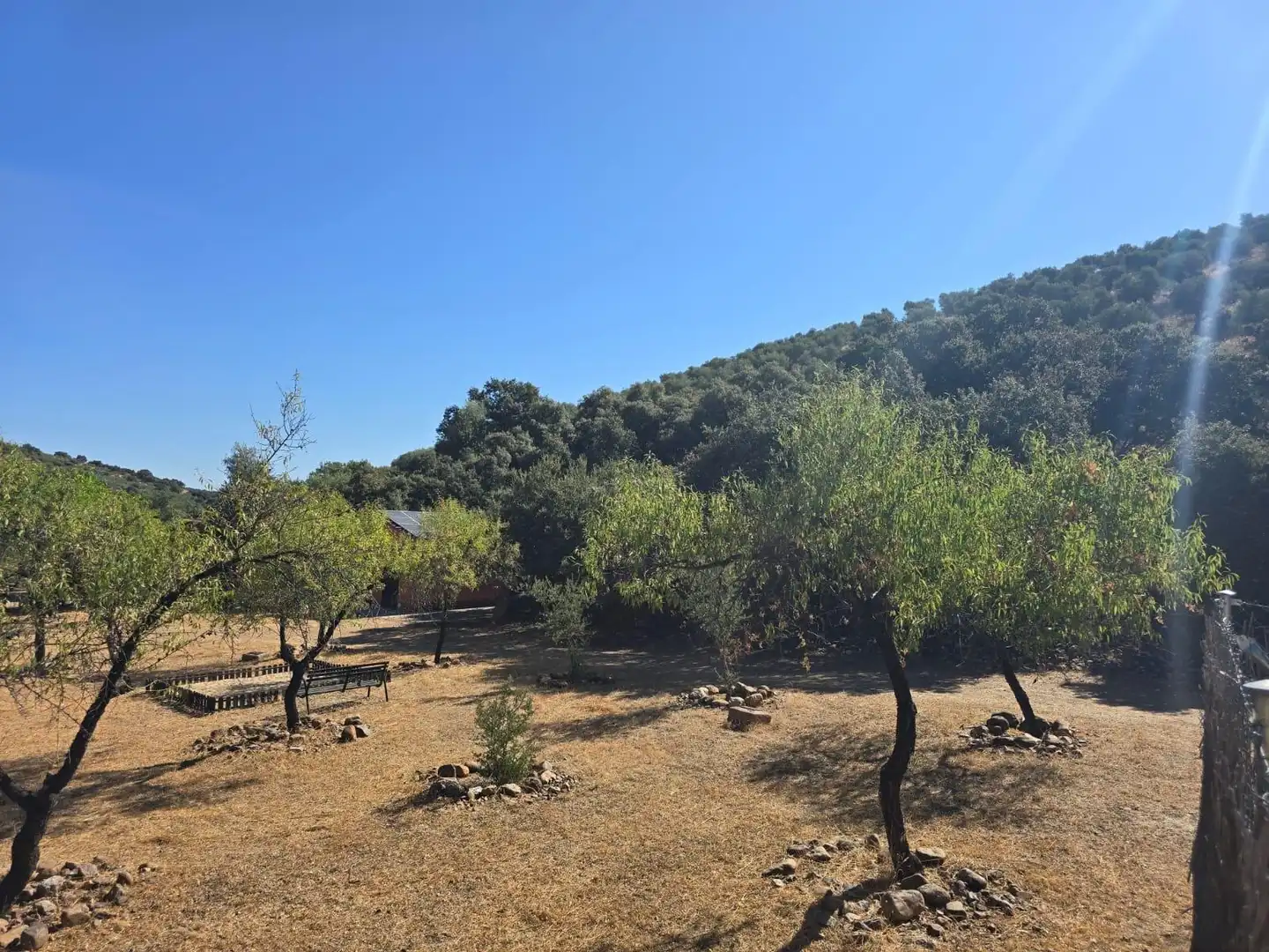 Finca rústica en venda a Belvís de la Jara