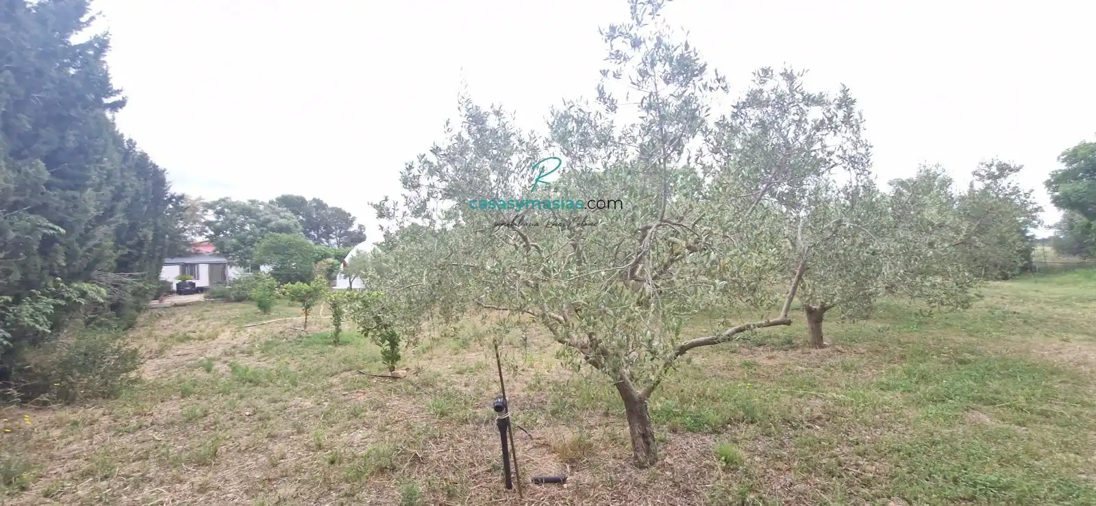Country homes for sale in Alió  with Air Conditioner, Heating and Private garden