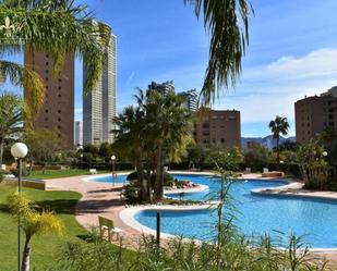 Vista exterior de Pis de lloguer en Benidorm amb Aire condicionat, Terrassa i Piscina