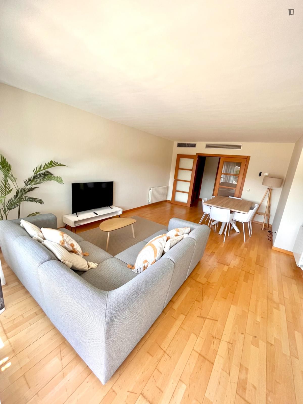 Living room of Apartment to share in Girona Capital  with Air Conditioner, Heating and Furnished