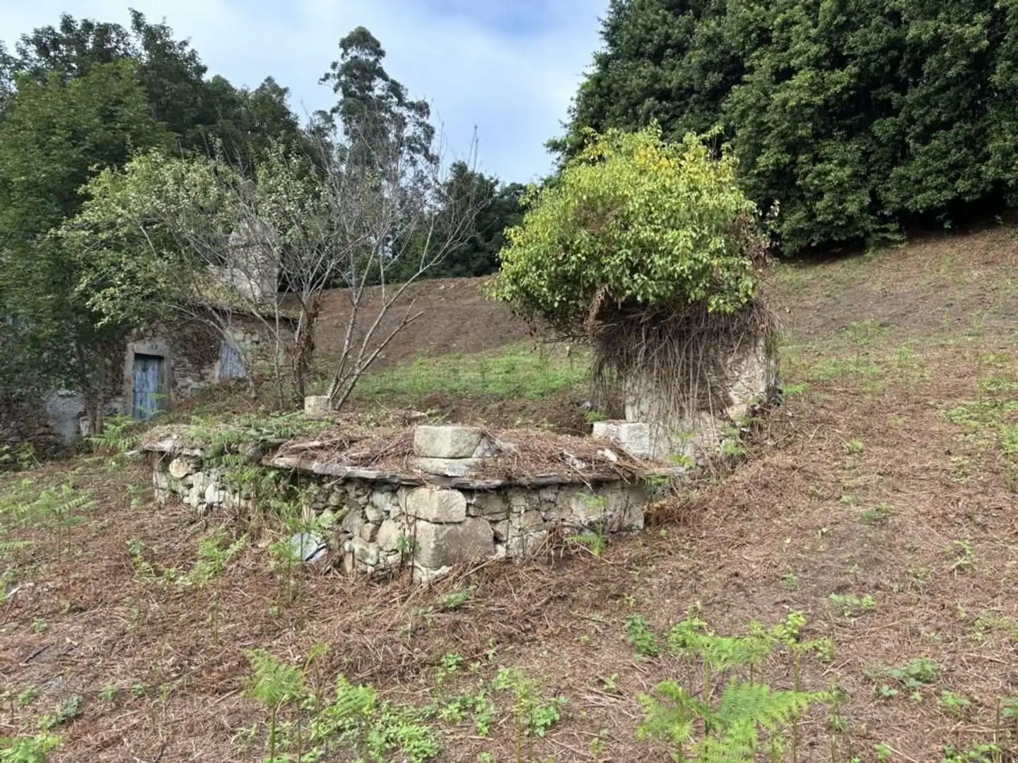 Country homes for sale in O Vicedo 