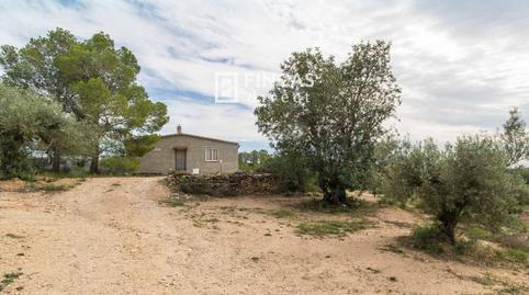 Foto 3 de Finca rústica en venda a Xf2j+gcr, Benifallet, Tarragona