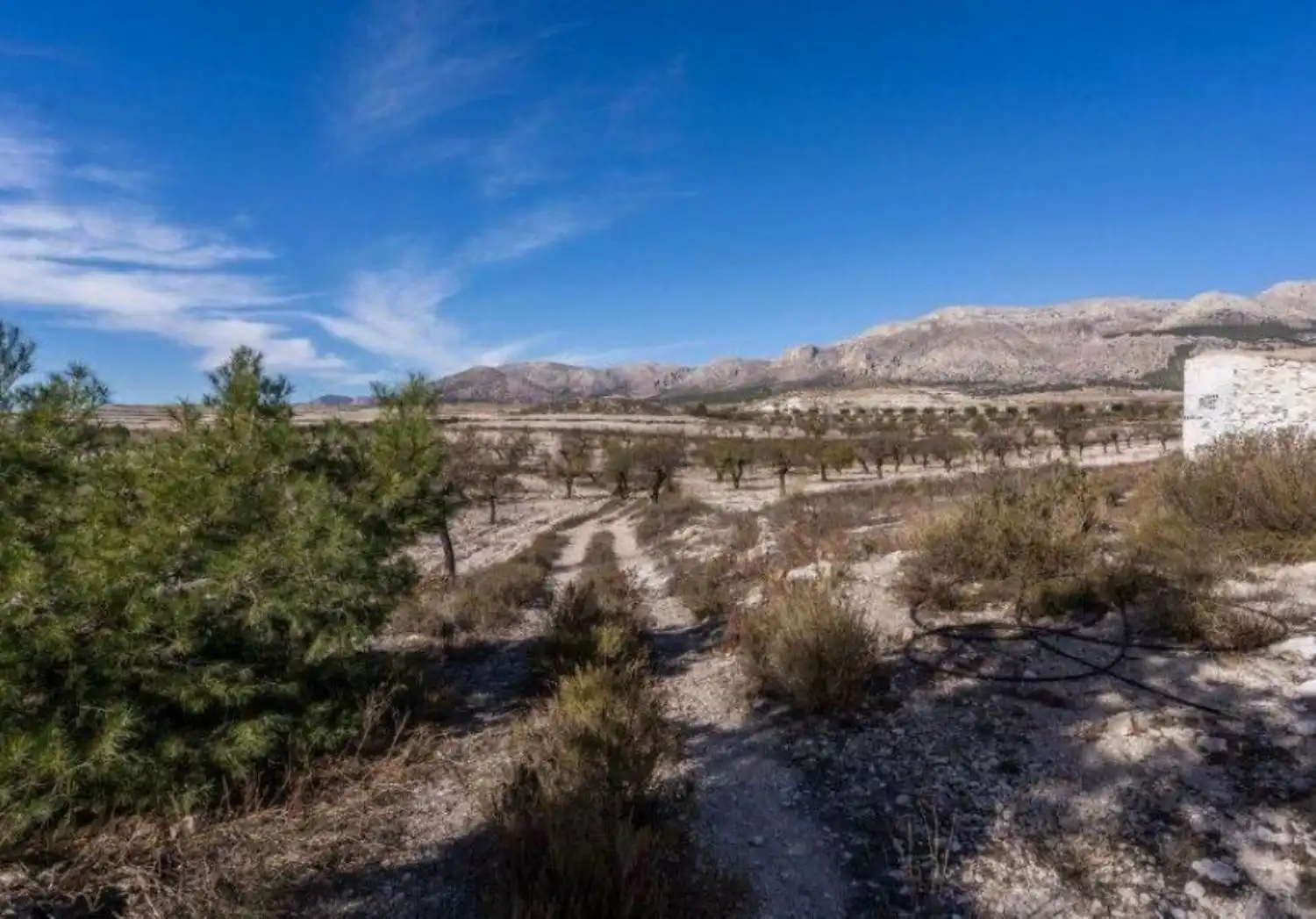 Finca rústica en venta en Vélez-Rubio con Calefacción, Jardín privado y Trastero