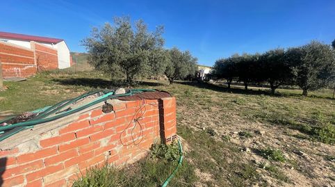 Photo 3 of Land for sale in Camino Torre, Santa Cruz del Retamar pueblo, Santa Cruz del Retamar