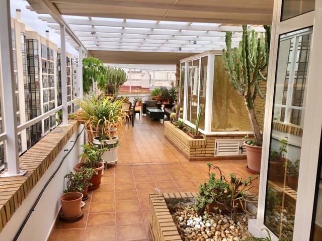 Ático en Alquiler en Paseo Cayetano de Lugo en Arenales - Lugo - Avda. Marítima