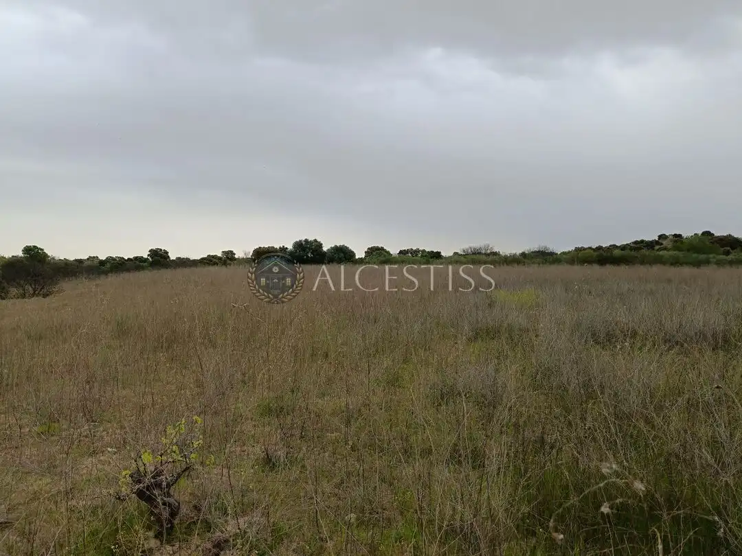 Terreno rústico en venta en Aldea del Fresno, imagen 2