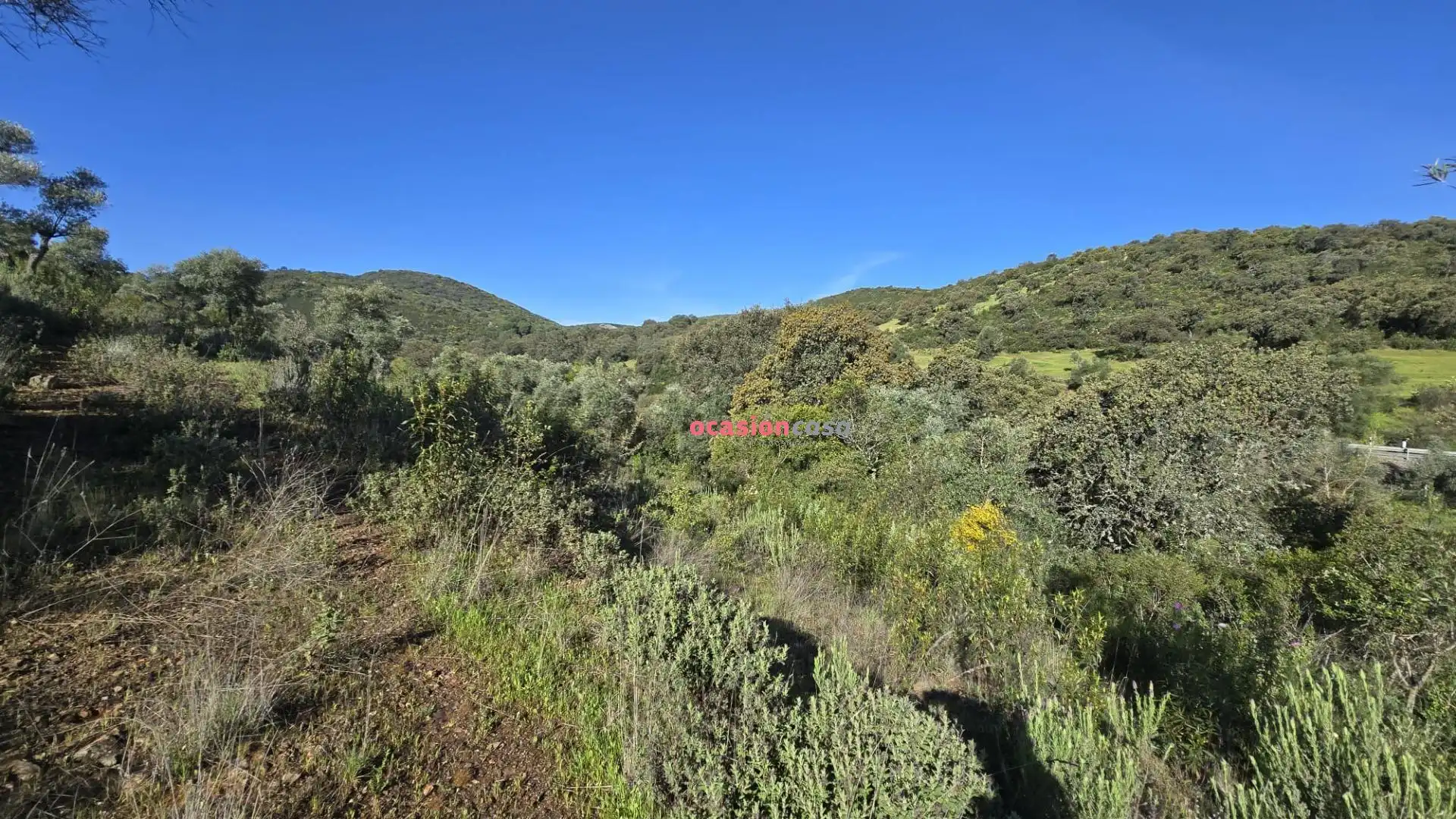 Casa o chalet en venta en Pozoblanco con Jardín privado, Terraza y Trastero