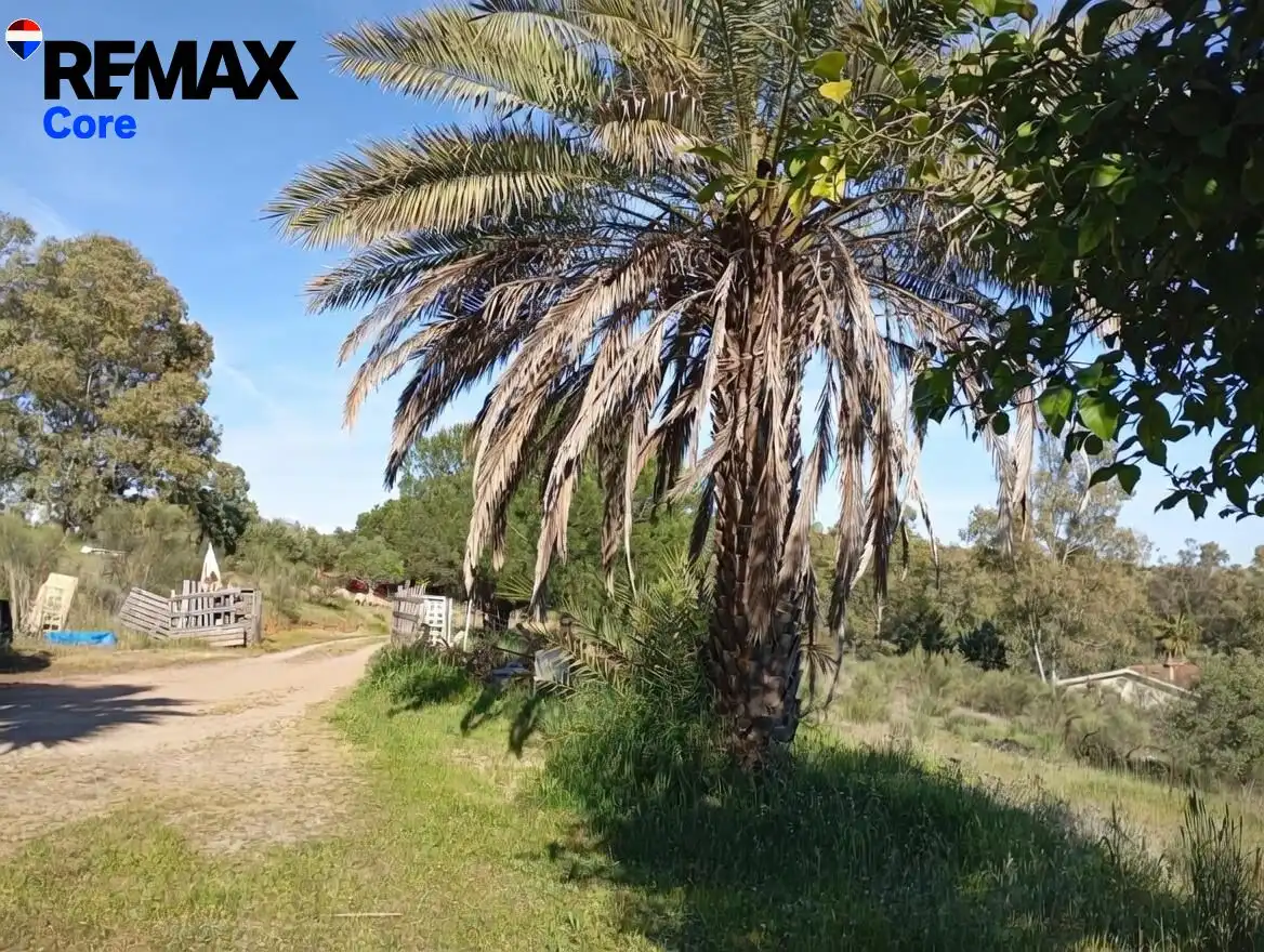 Casa en venta en Valdesalor - Rincón de Ballesteros, imagen 8