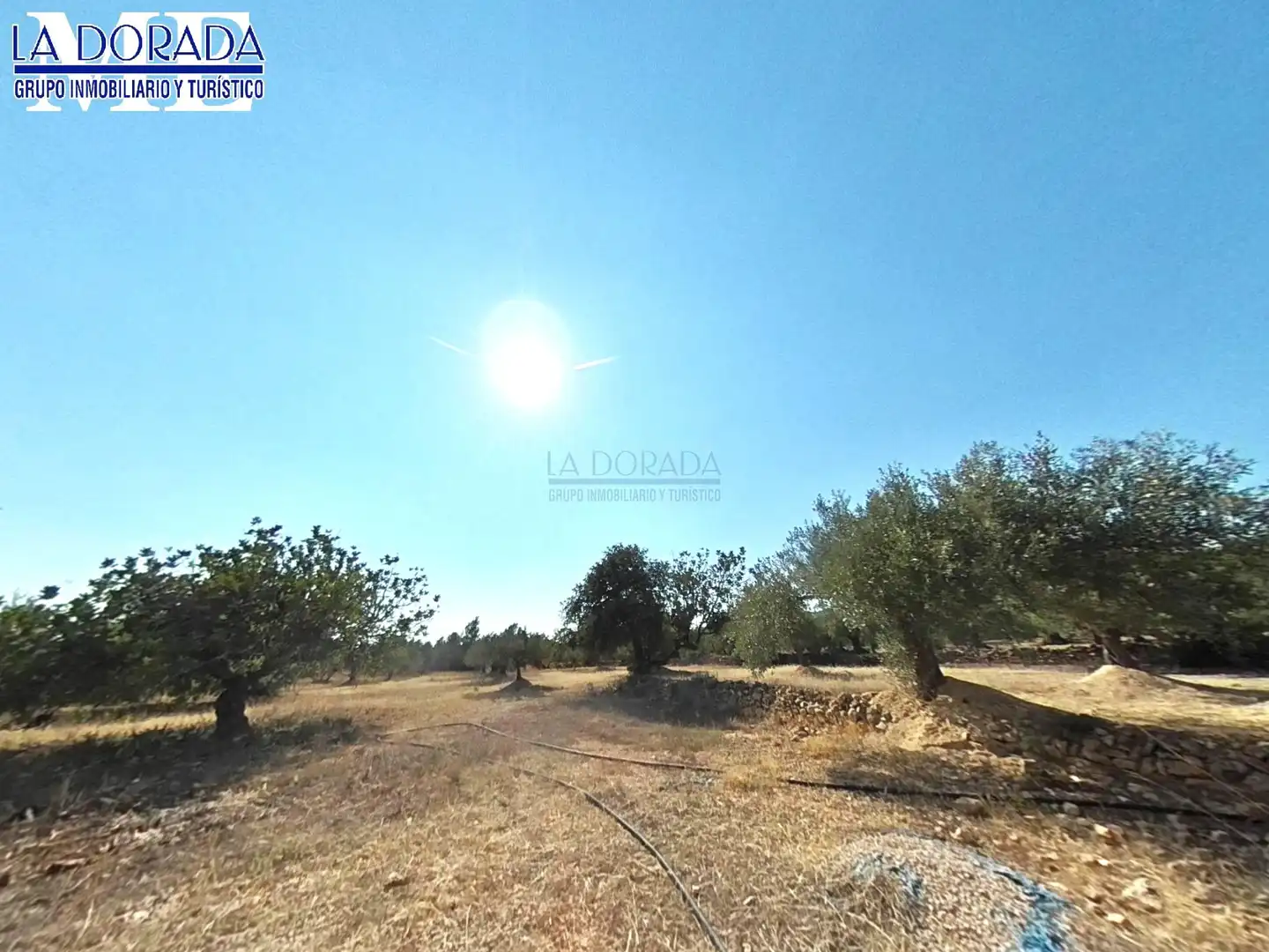 Country homes for sale in Vandellòs i l'Hospitalet de l'Infant