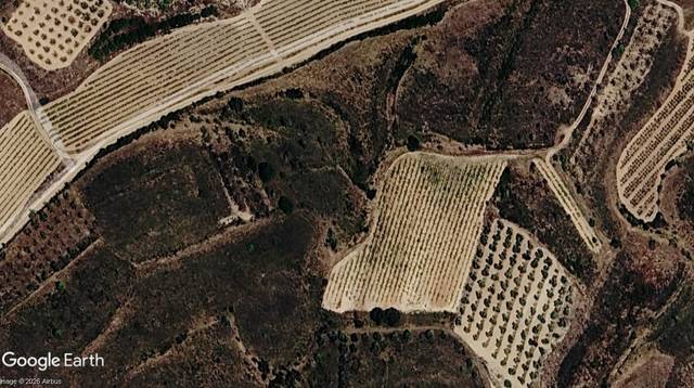 Terreno en Venta en Alcanadre