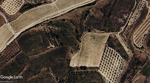 PARCELAS PARA VIÑEDO DE FÁCIL ACCESO, OPCIÓN DE CASA DE APEROS