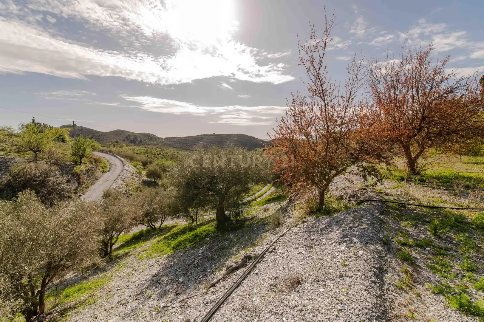 Maison à vendre à 18670 Vélez de Benaudalla, Spain, imagen 56