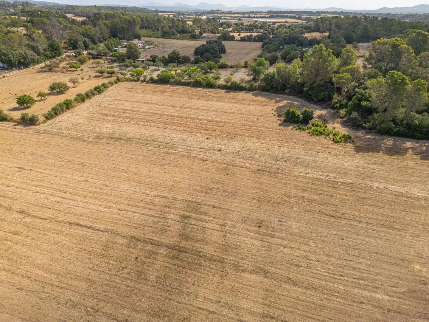 Terrain rustique à vendre à Diseminado Son Mora 199, imagen 4