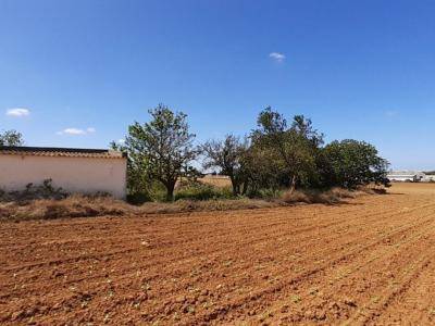 Terreno en Venta en El Pino