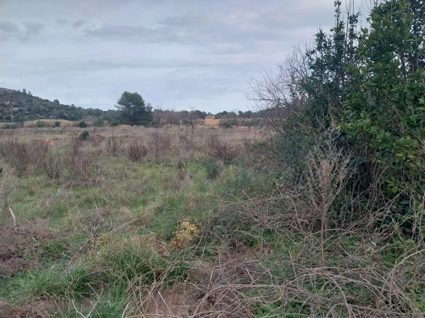 Rural land for sale in Partida la Falaguera, imagen 5
