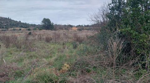 Terreno rustico en Barx, immagine 5