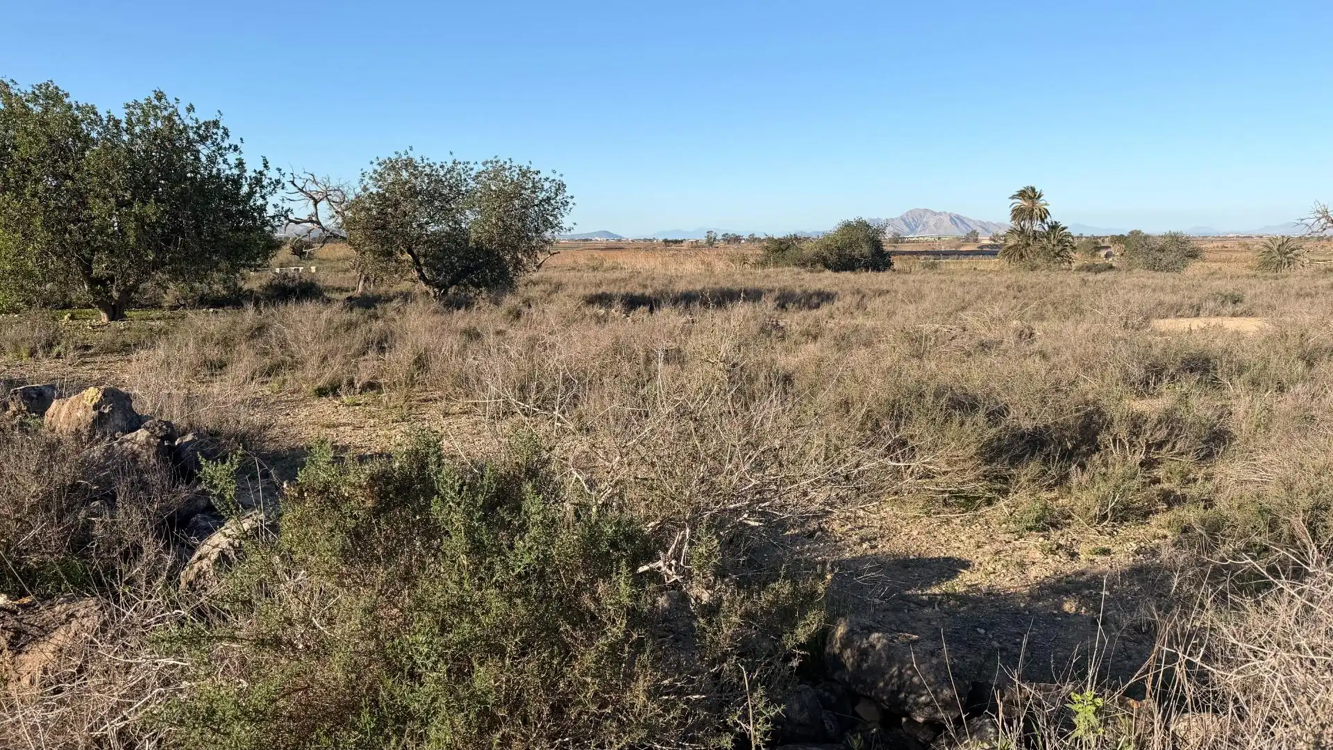 Terreno residencial en venta en La Marina, imagen 6