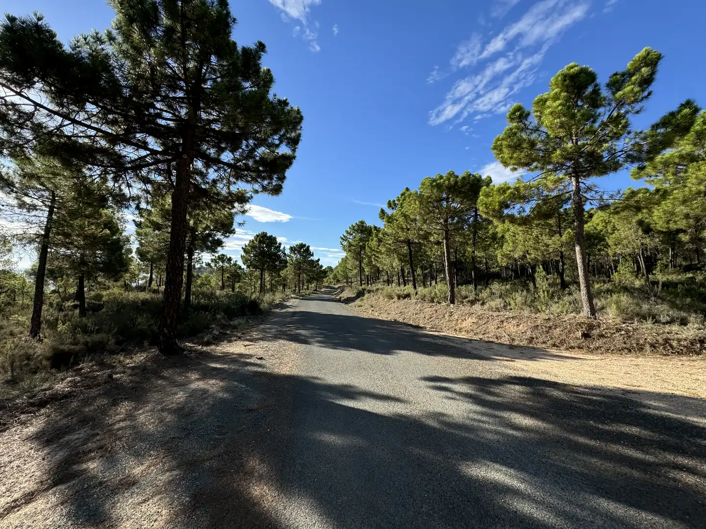 Terreny rústic en venda a Caravaca de la Cruz, imagen 11