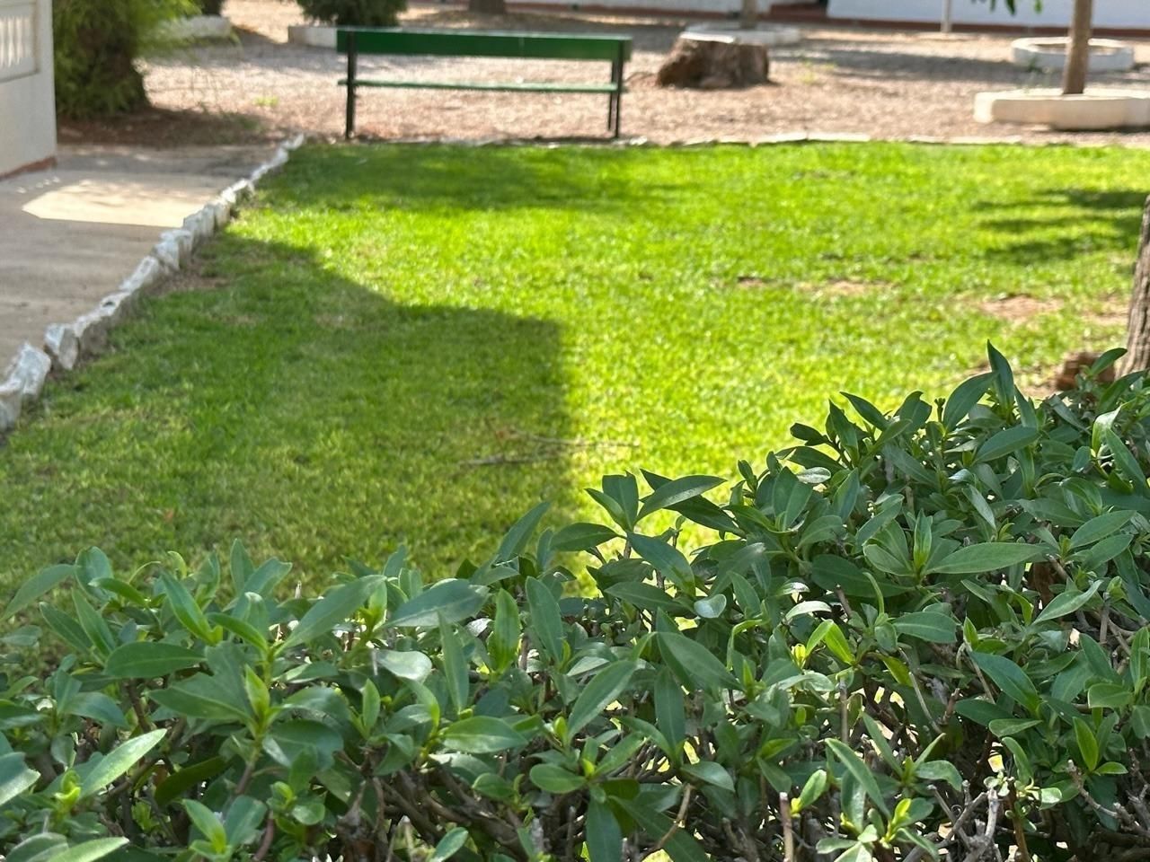 Garden of Loft for sale in Cartagena  with Air Conditioner, Balcony and Community pool