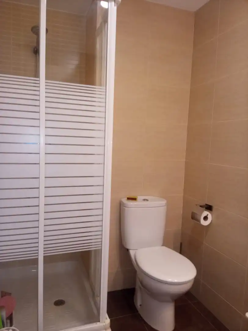Flat with lift to rent in Paseo Marítimo - San José - La Laguna, imagen 15