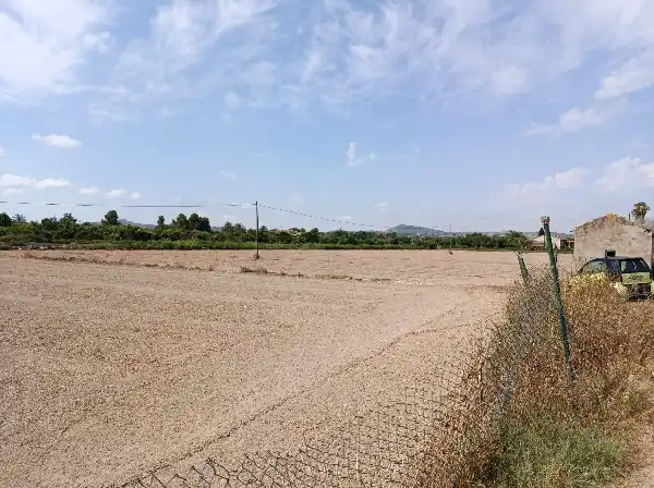 Terrain rustique à vendre à Benejúzar, imagen 3