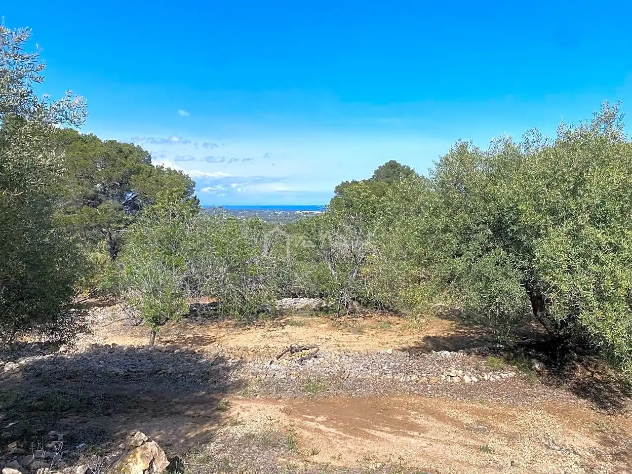 Terreno rustico in vendita a Puig Moltó, imagen 19