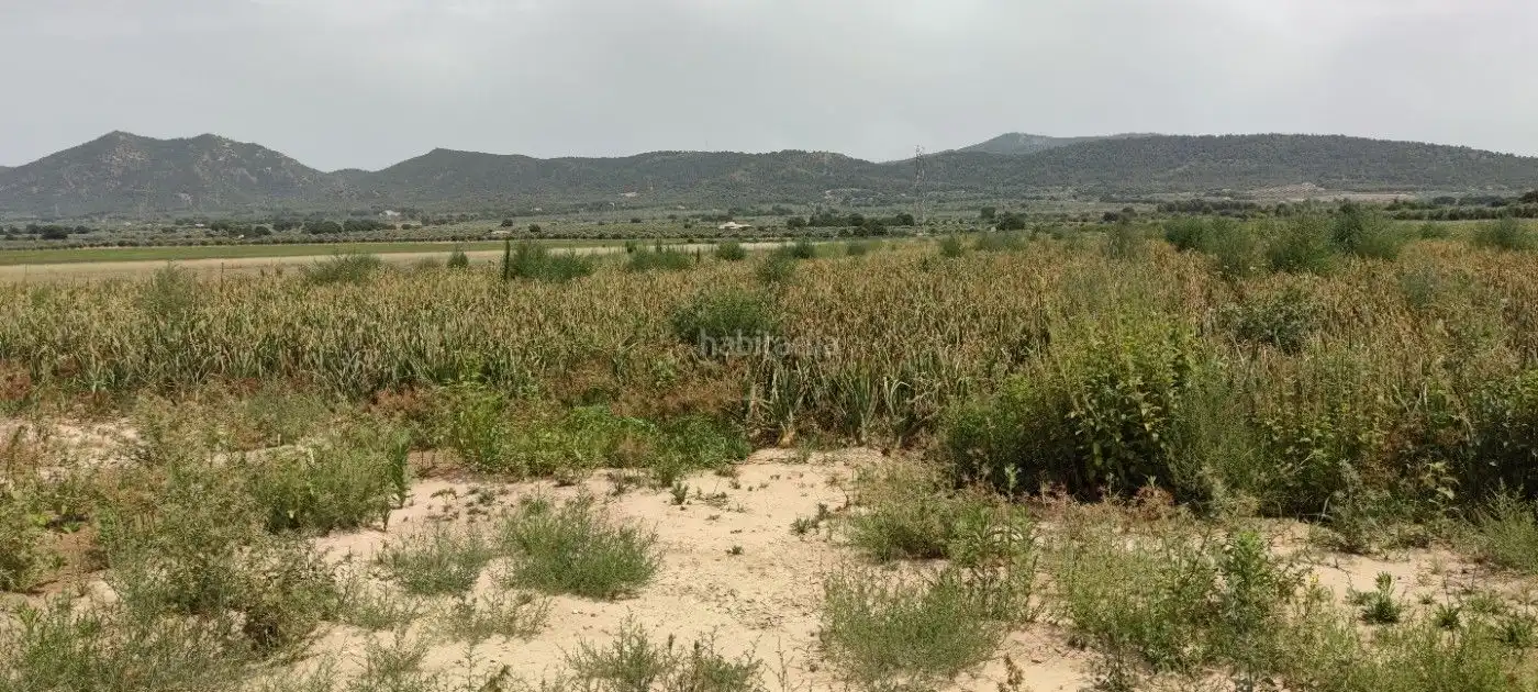 Residential land for sale in Calle Marco 10, imagen 5