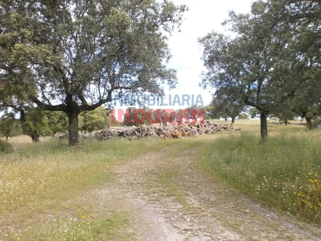 Casa rústica en venda a Malpartida de Plasencia, imagen 15