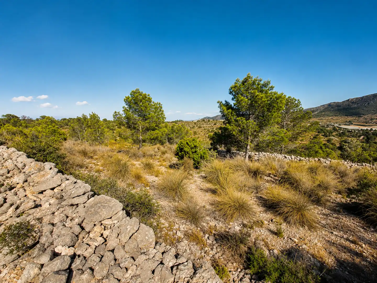 Terreno en venta en La Romana