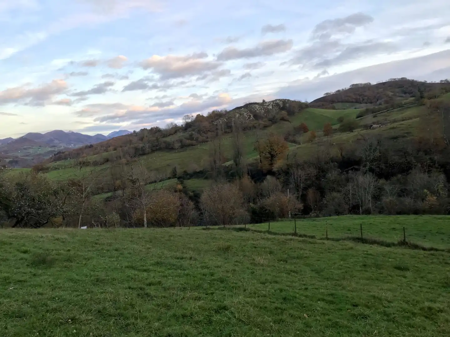 Terreni e lotti in vendita a Cangas de Onís, imagen 10