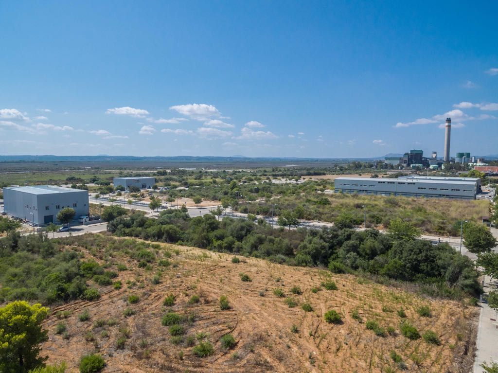 Land for sale in Alcúdia