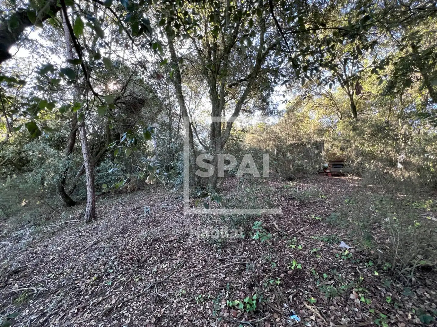 Terrain rustique à vendre à Sant Quirze Safaja - CL PUIG DARI, imagen 8