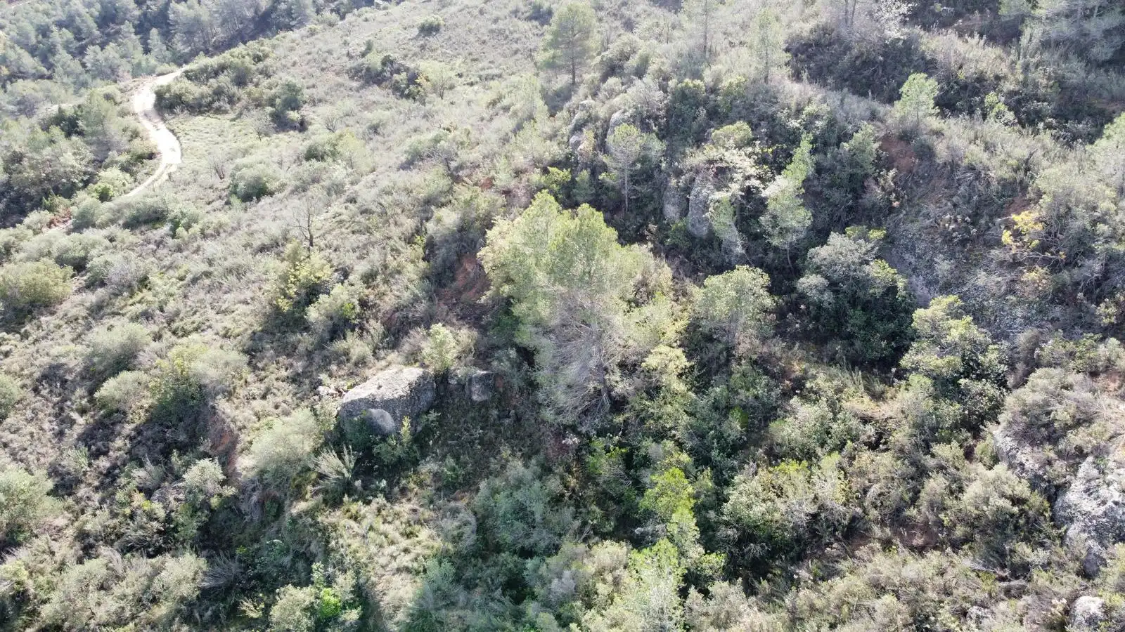 Terreno rustico in vendita a Cervià de Les Garrigues, imagen 24