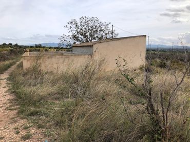Terrain rustique à vendre à Partida Alborada 1